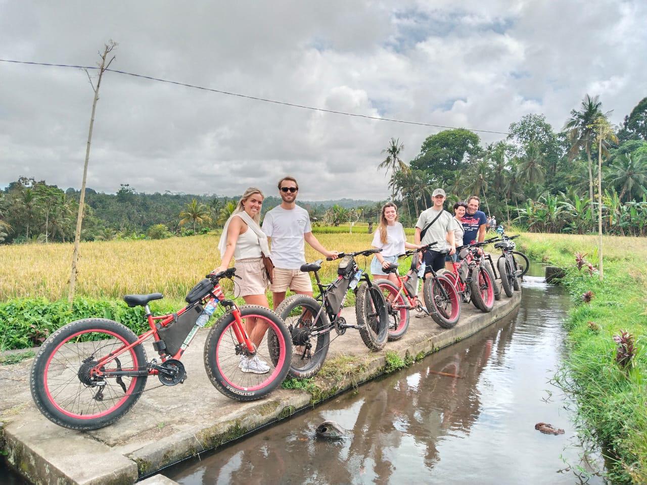 Ubud Half-Day E-Bike Tour through Rice Terraces
