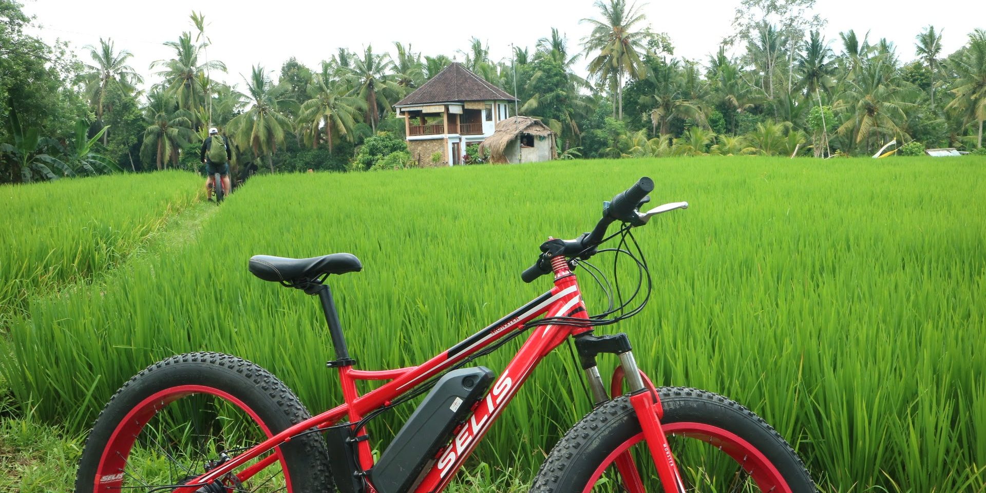 bali ebike tours